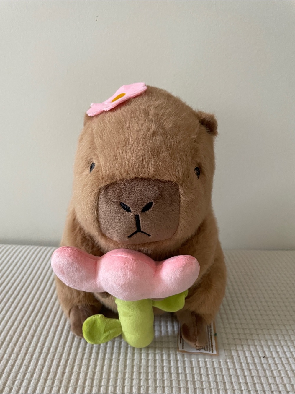 Brown Plush Capybara Holding Pink Flower Plush NWT